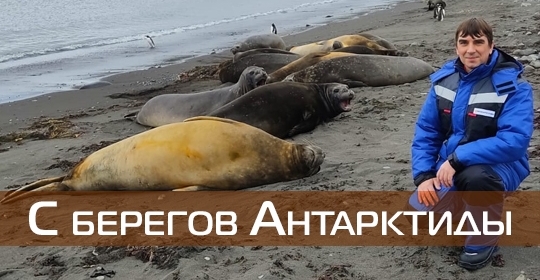 С берегов Антарктиды