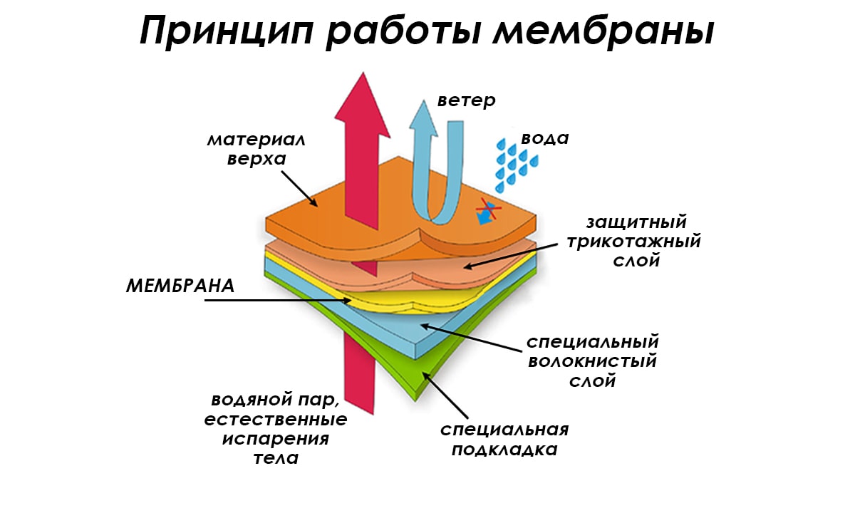 Принцип работы мембраны